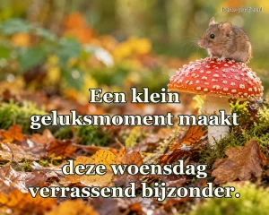 Een veldmuis zit op een rode paddenstoel tussen vochtige herfstbladeren.