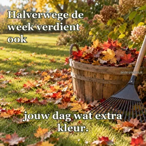 Een houten mand vol herfstbladeren staat met een hark op het gras.