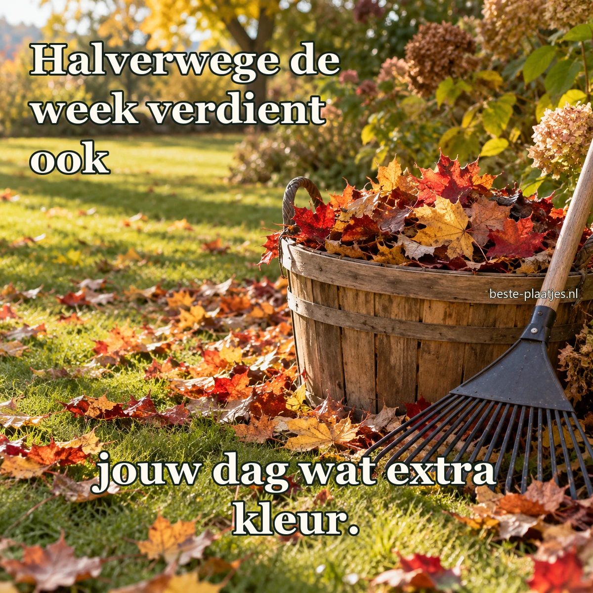 Een houten mand vol herfstbladeren staat met een hark op het gras.