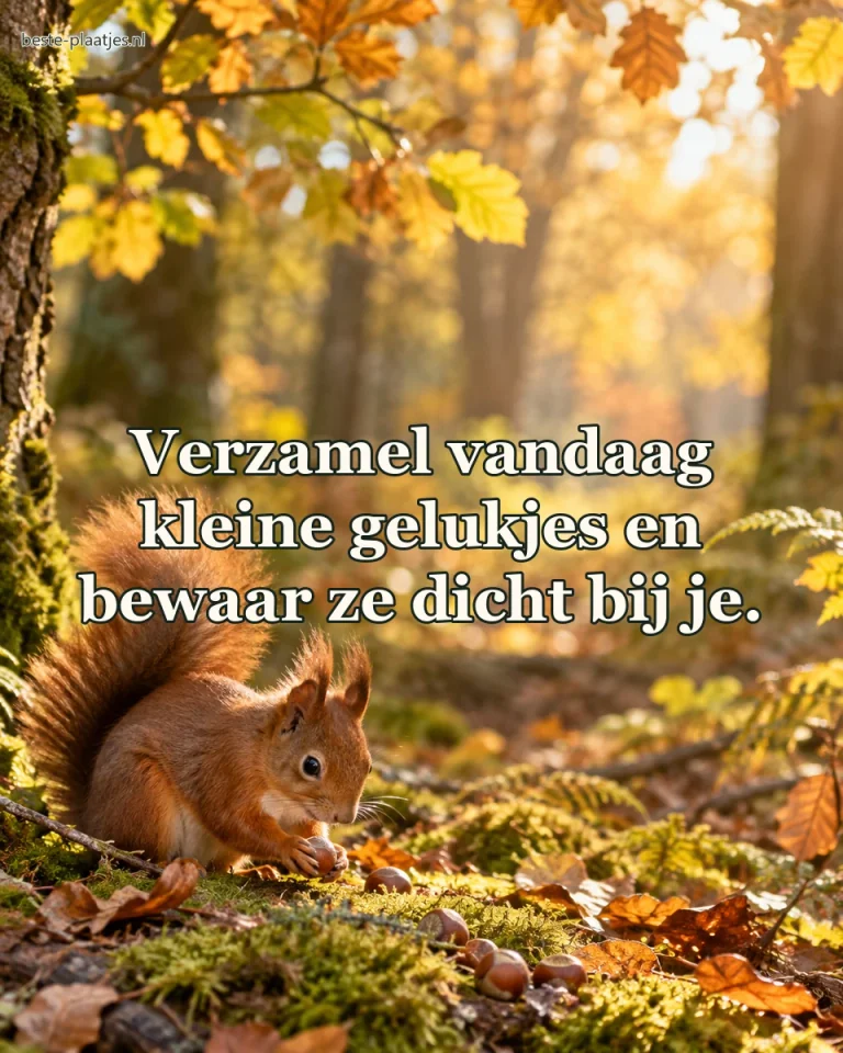 Een rode eekhoorn zoekt een hazelnoot op het mos in het bos.