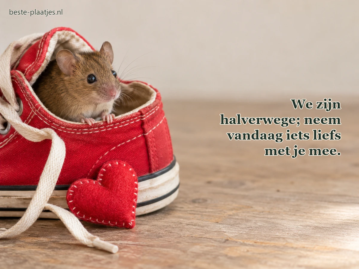 Een kleine muis zit in een rode gymschoen naast een vilten hart.