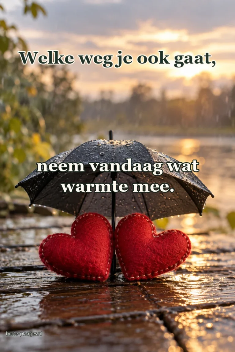 Twee rode vilten harten staan samen onder een kleine paraplu.