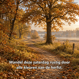 Een landelijk wandelpad slingert door een nevelig bos met goudkleurige bomen.