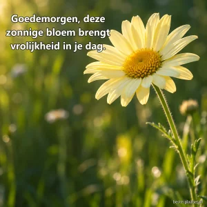 Een lichtgele margriet bloeit tegen een rustige groene achtergrond.