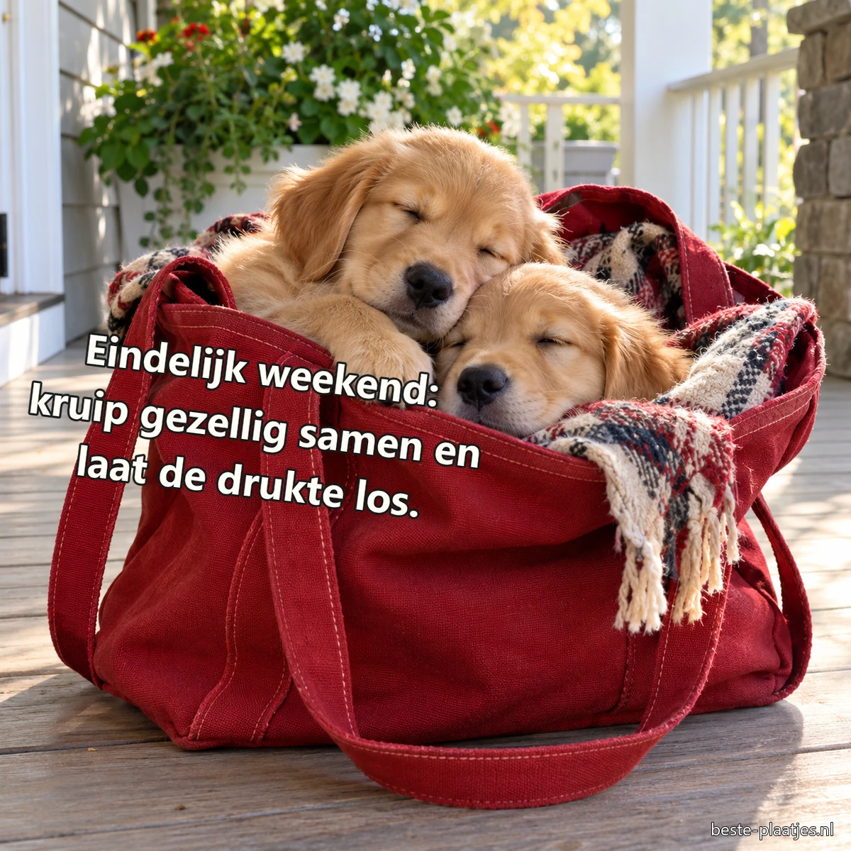 Twee golden retrieverpups liggen samen in een rode canvas weekendtas.