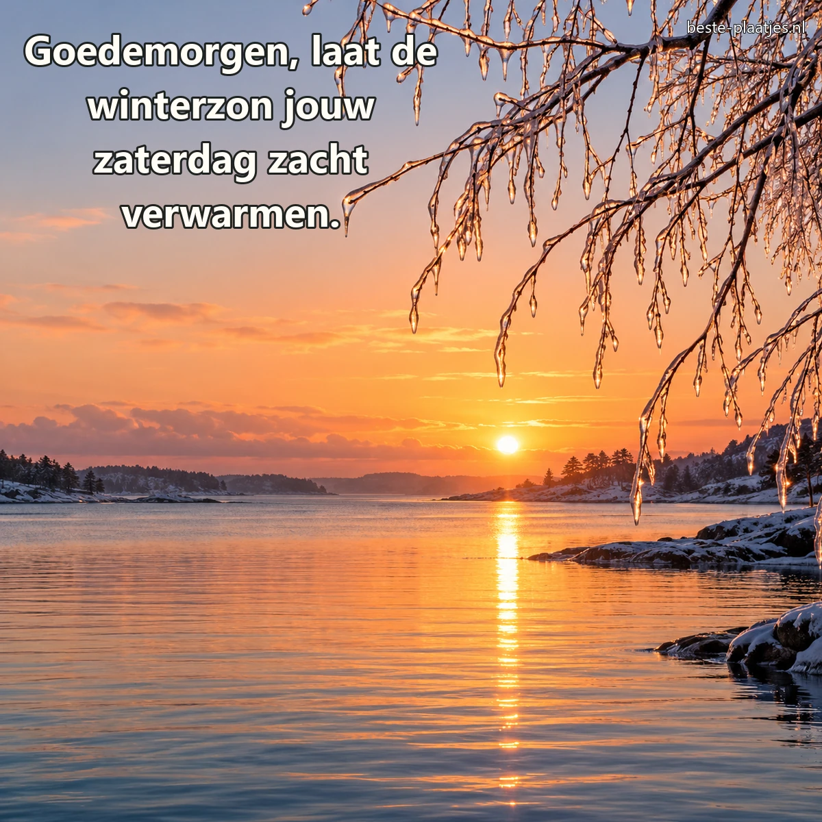 De winterzon komt op boven rustig water en met ijs bedekte takken.