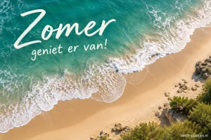 Zomer 21/6