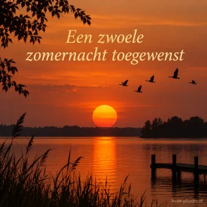 De oranje zon zakt boven een meer terwijl vogels overvliegen.