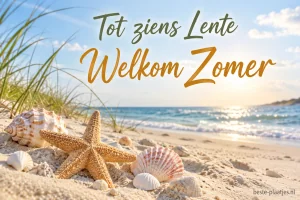 Schelpen en een zeester liggen op het zand bij de zee.