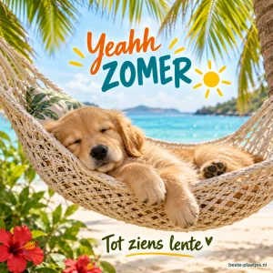 Een jonge hond slaapt in een hangmat tussen palmtakken.