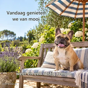 Een glimlachende Franse bulldog zit op een tuinbank onder een gestreepte parasol.