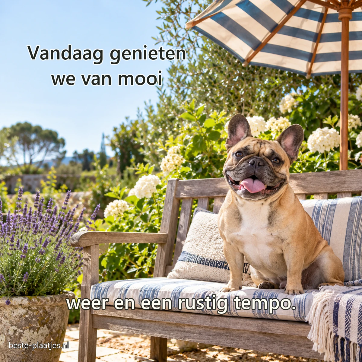 Een glimlachende Franse bulldog zit op een tuinbank onder een gestreepte parasol.