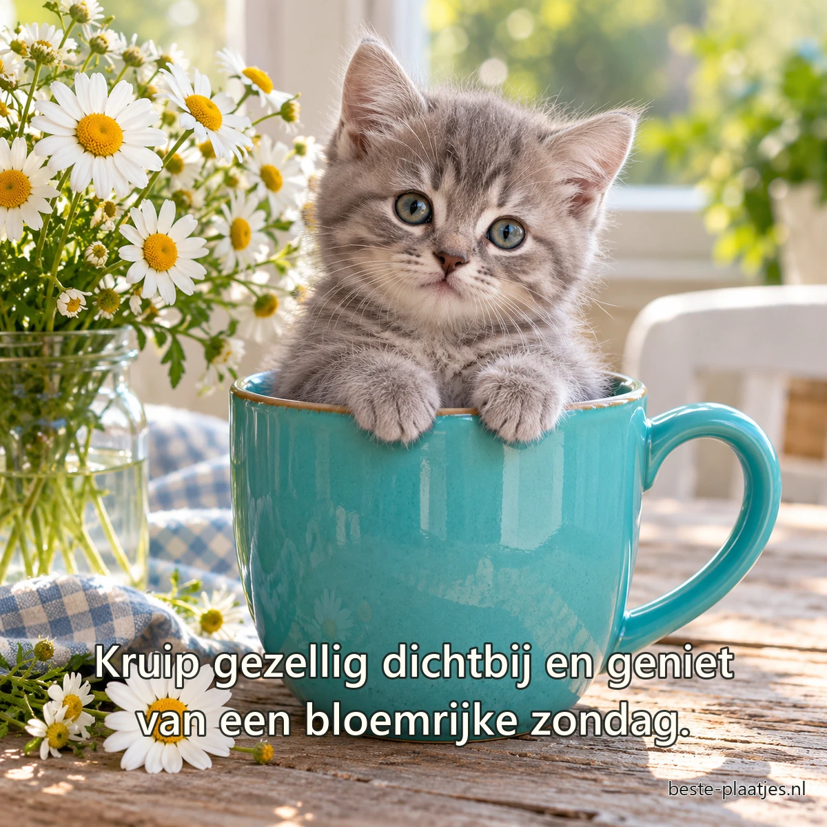 Een grijs kitten zit veilig in een turquoise mok naast kamillebloemen.