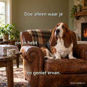 Een bassethond zit tevreden in een leren fauteuil naast een stapel tijdschriften.