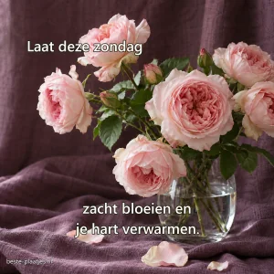Lichtroze tuinrozen staan in een eenvoudige glazen vaas tegen pruimkleurig linnen.