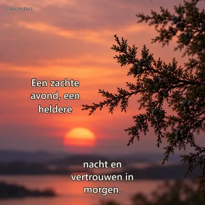 Een jenevertak tekent zich af tegen een grote rode zon boven wazig water.