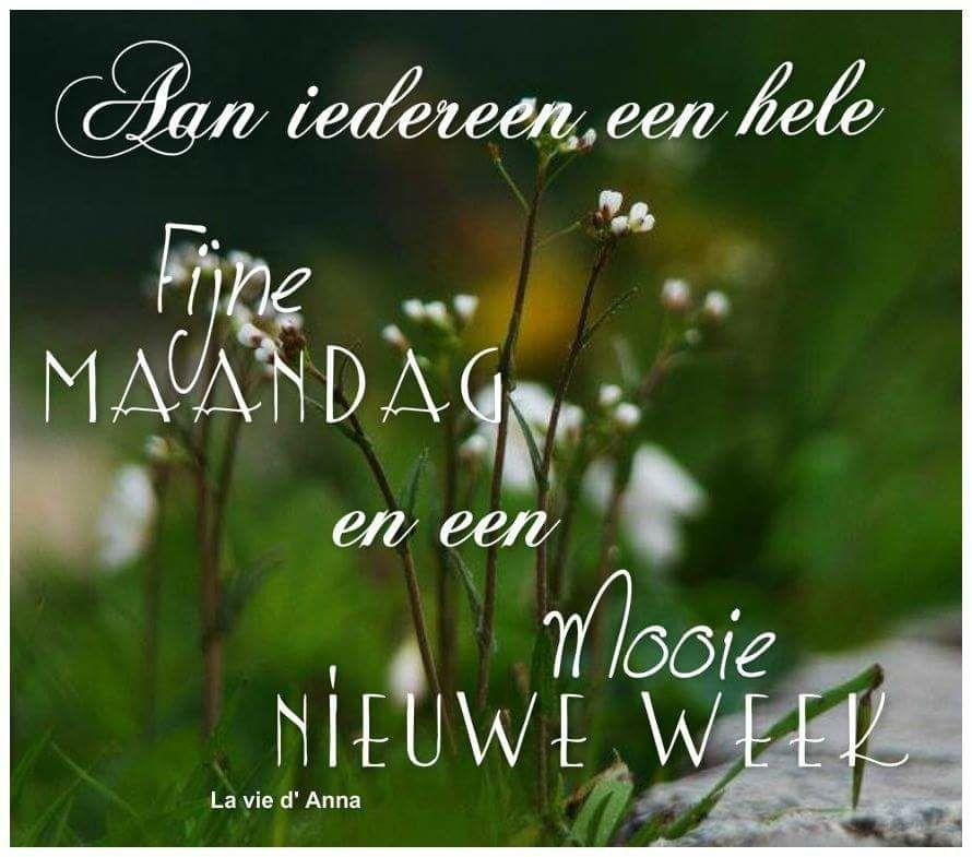 Fijne maandag bloemen 14