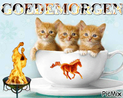 fijne dinsdag afbeelding 1