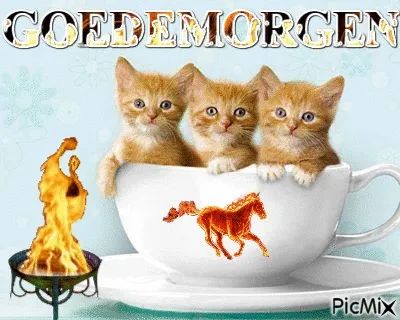 fijne dinsdag - Drie schattige kittens zitten in een kopje met een paard en een vlam op de achtergrond.