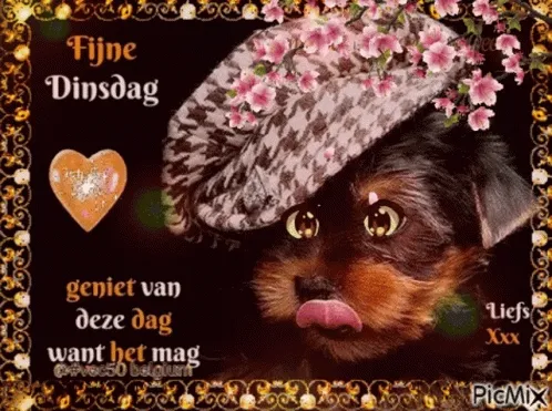 Hond met een hoed en bloemen op een kleurrijke achtergrond. Tekst: "Fijne Dinsdag".