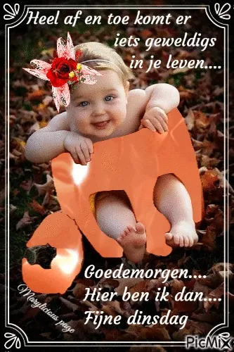 Baby op bladeren met een oranje vorm en bloem in het haar, tekst erboven.