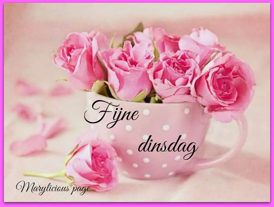 Roze rozen in een mok met de tekst "Fijne dinsdag".