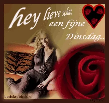 Vrouw op een bank met een rozenafbeelding en tekst voor een fijne dinsdag.