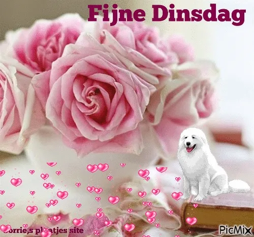 Roze rozen in een vaas met een witte hond en de tekst "Fijne Dinsdag".
