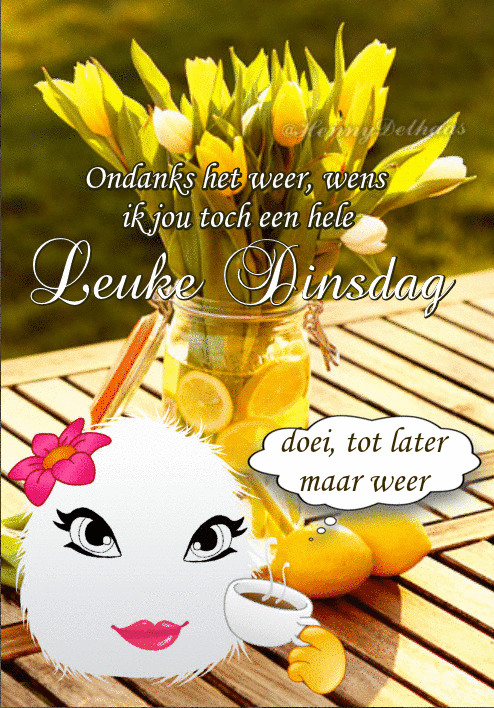 Fijne dinsdag gif afbeelding