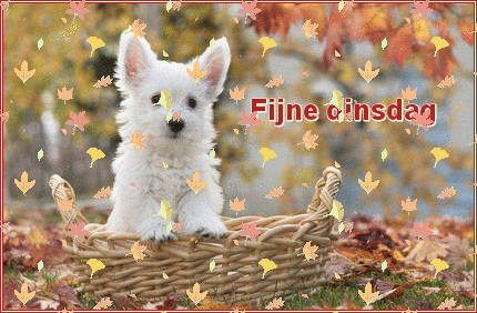 Fijne dinsdag gif afbeelding