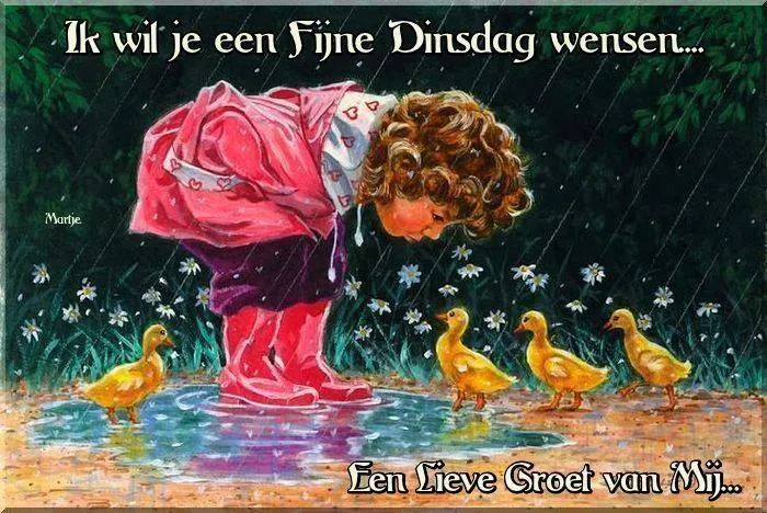 Een meisje in een regenpak kijkt naar eendjes in een plas. Tekst: "Fijne Dinsdag".