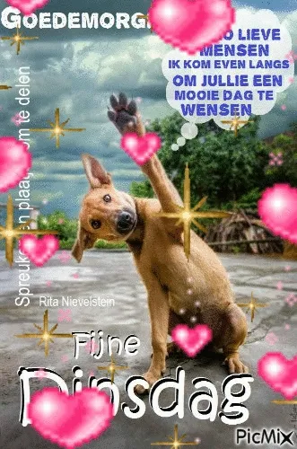 Hond steekt zijn poot op tegen een kleurrijke achtergrond met hartjes en sterren.