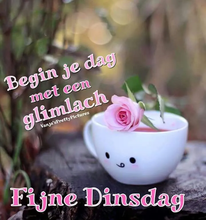 Een schattige mok met een roos, tekst over een glimlach en een fijne dinsdag.