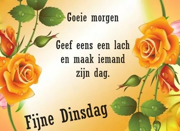 Gele rozen met de tekst 'Goede morgen' en 'Fijne Dinsdag'. Inspirerende boodschap.