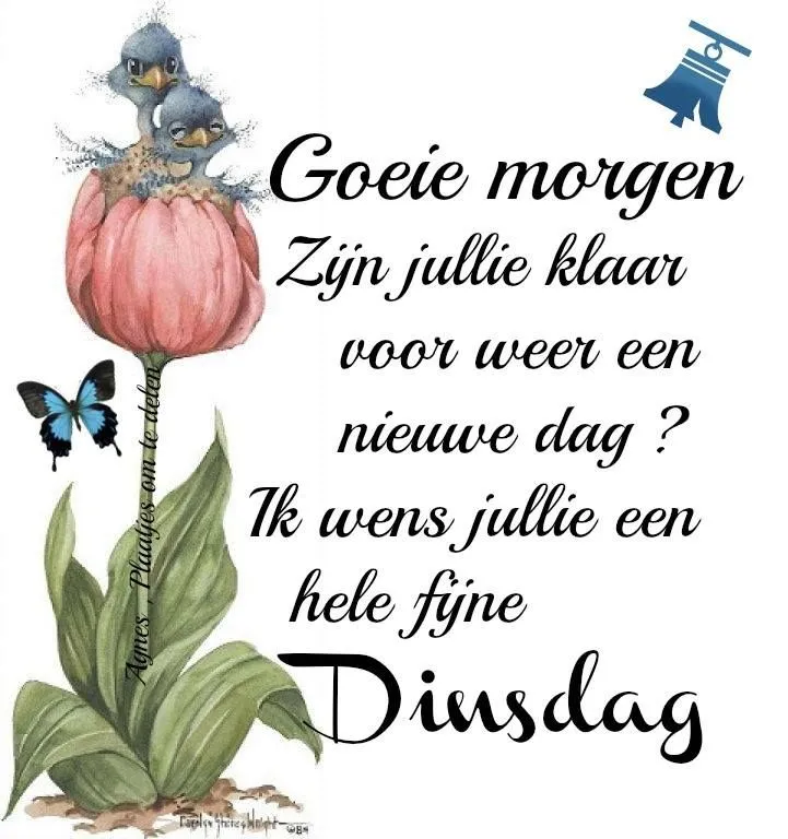 Illustratie van een bloem met vogels, tekst begroet de dag en wenst een fijne dinsdag.