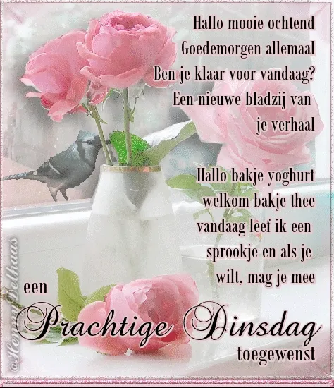 Roze rozen op een vensterbank met een vogel, vergezeld door hartelijke tekst.