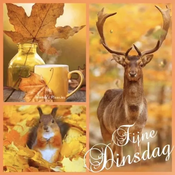 Herfstscènes met een hert, eekhoorn, een mok en bladeren.