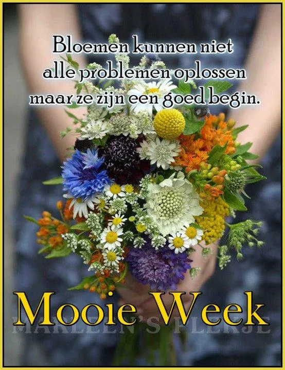 Fijne maandag bloemen 6 Vrouwelijke handen houden een kleurrijke boeket met de tekst "Mooie Week".