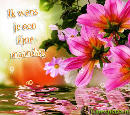 Fijne maandag bloemen 9