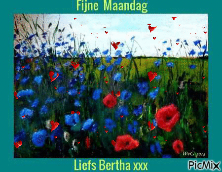 Fijne maandag bloemen 17