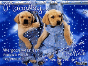 fijne maandag gif