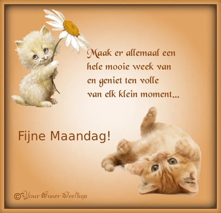 Twee schattige kittens met een boodschap voor een mooie week en een fijne maandag.