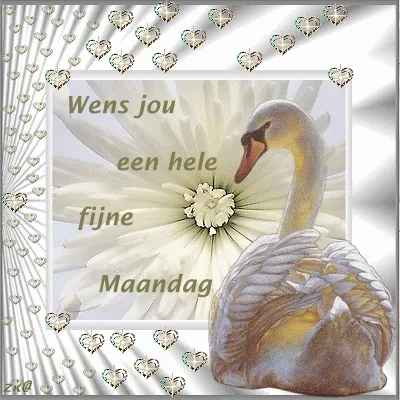 Zwanenillustratie met een witte bloem en de tekst "Wens jou een hele fijne Maandag".