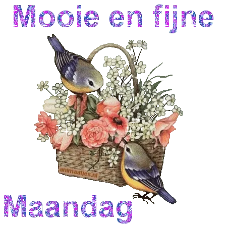 Twee vogeltjes bij een bloemenmand met de tekst 'Mooie en fijne Maandag'.