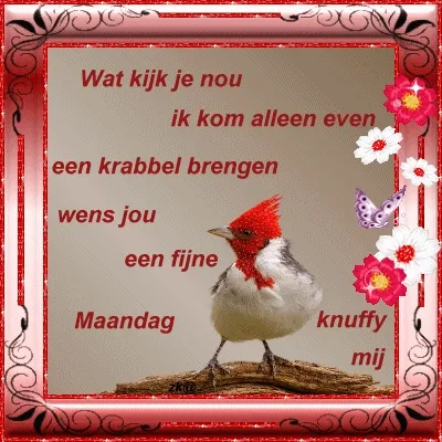 Een vogel met een rode kuif en tekst over een fijne maandag. Decoratieve bloemen en vlinders.