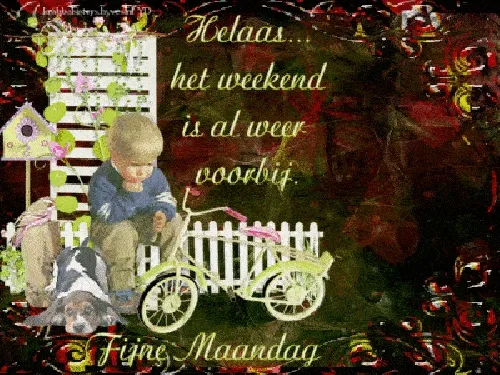 Een jongen zit naast een hond, met een fiets en een tuinhek, tekst over het weekend.