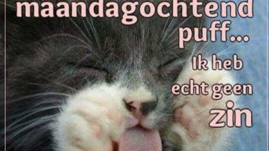fijne maandag humor 000 - fijne maandag humor
