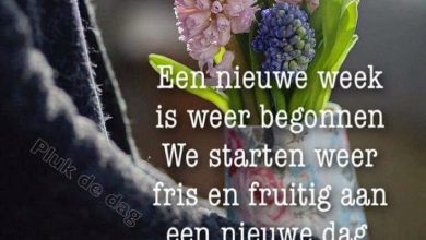 fijne maandag nieuwe week 000 - fijne maandag nieuwe week