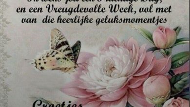 fijne maandag tekst 000 - fijne maandag tekst