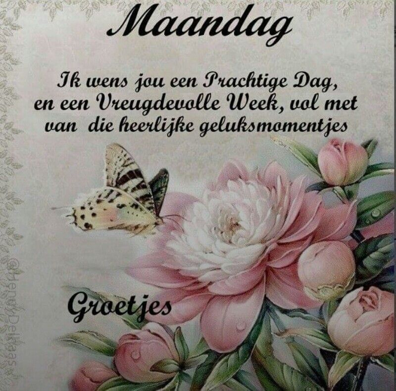 fijne maandag tekst 1 fijne maandag tekst 001 - fijne maandag tekst